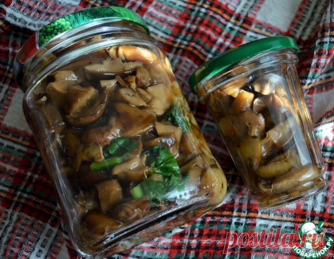 Солёные грибы – кулинарный рецепт