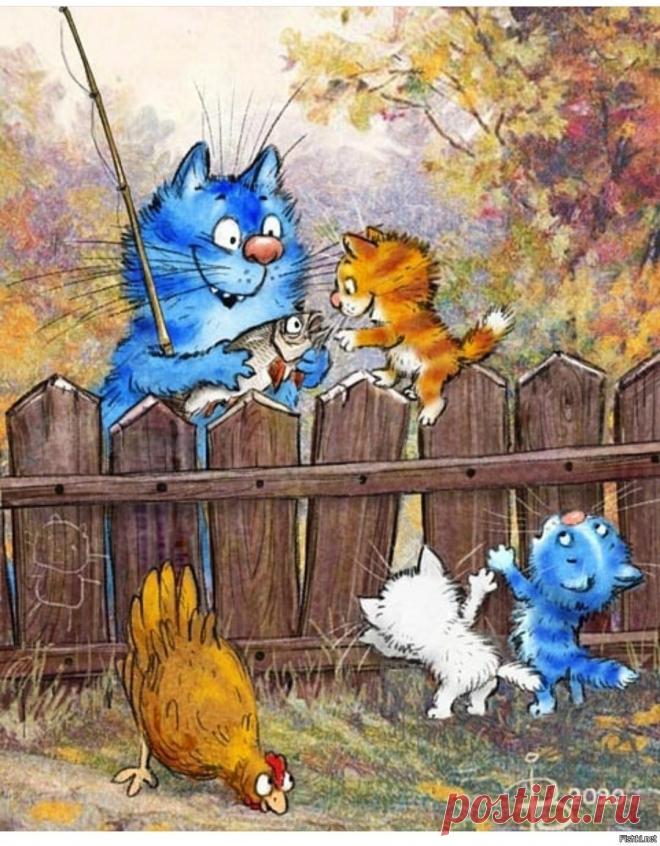 Синие коты - 61 фото - картинки: смотреть онлайн