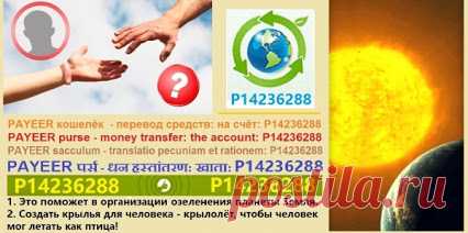 Google+