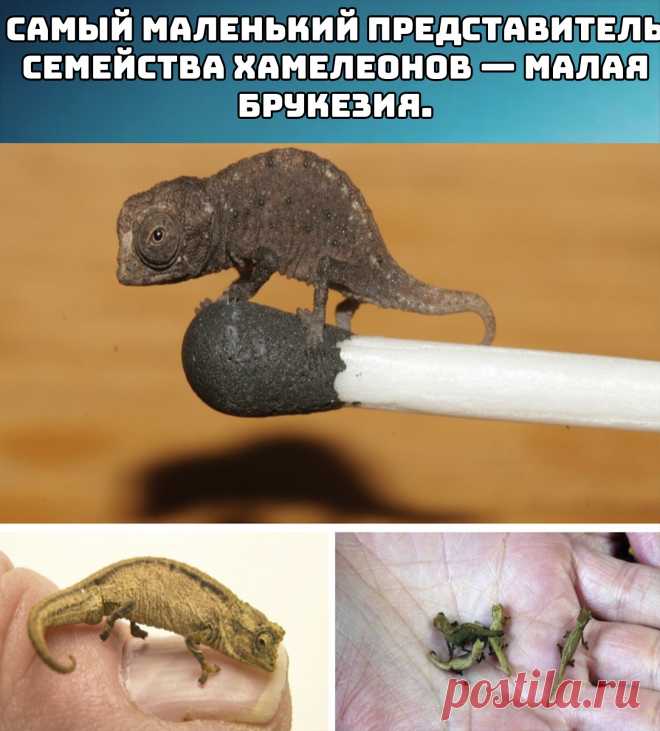 ооо