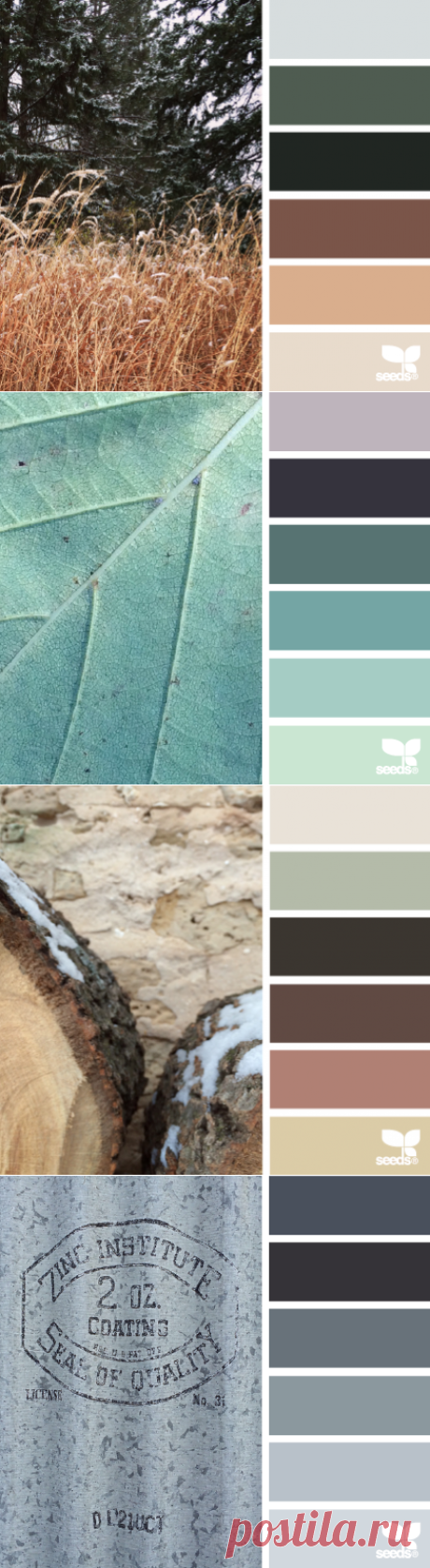 design seeds | for all who ♥ color