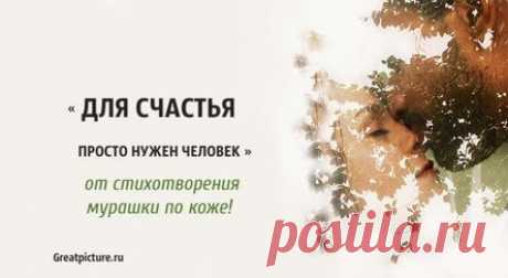 «Для счастья просто нужен человек» — от стихотворения мурашки по коже!