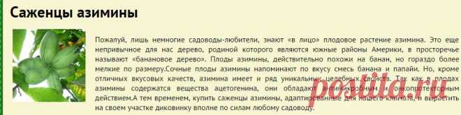 Саженцы азимины купить в Москве с доставкой - Посадим Сад