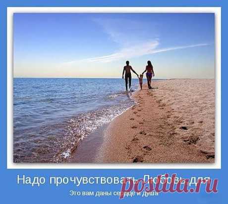 Мой Мир@Mail.Ru