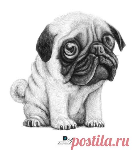 Pug Pug 01 Art Print by Juanpablo Castromora