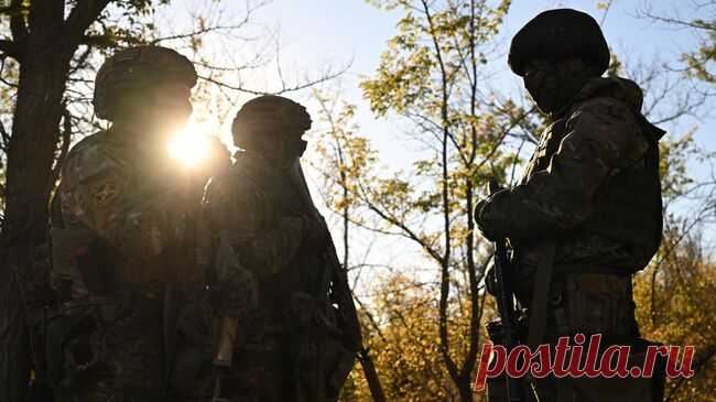 БПЛА "Центра" уничтожили опорный пункт ВСУ под Красноармейском