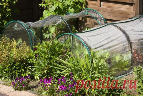 О парниках для участка —