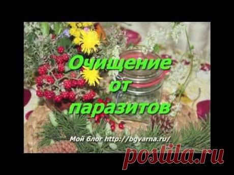 Паразиты. Как очиститься от паразитов разных видов при помощи чеснока. - YouTube