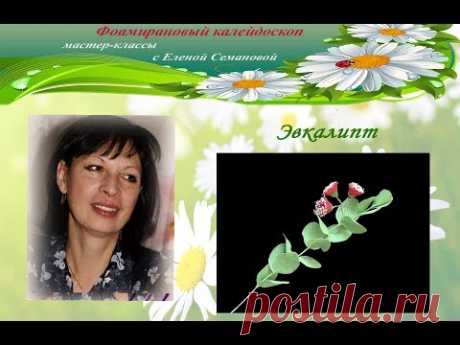 Эвкалипт цветущий. МК Елены Семановой