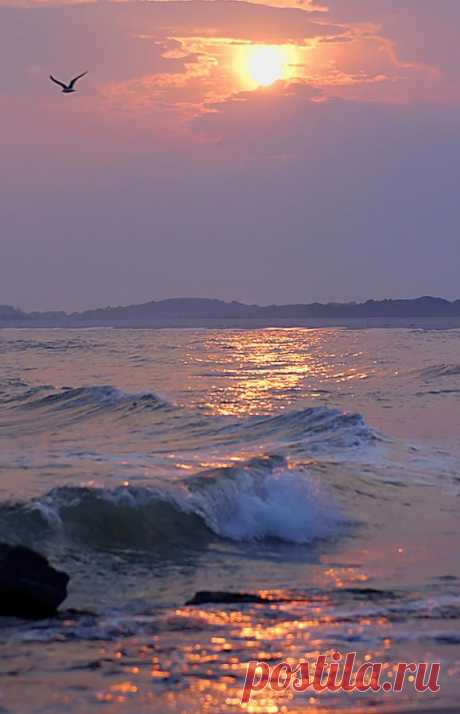 ✯ Serenity Sunset | sample shots