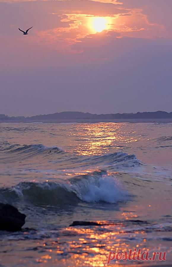 ✯ Serenity Sunset | sample shots