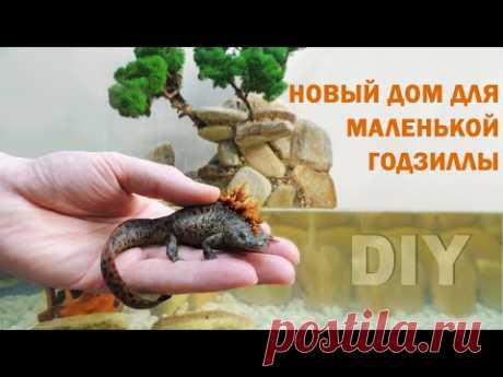 Такой аква террариум сможет сделать каждый. Оформление аквариума для тритона DIY. - YouTube
