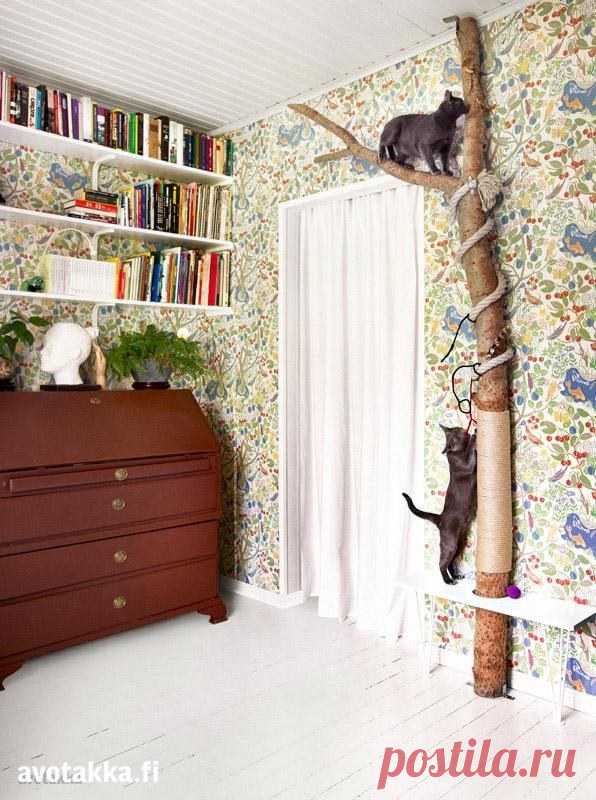 Кошачий уголок — DIYIdeas