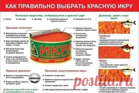 Как правильно выбирать красную икру. | Хитрости Жизни