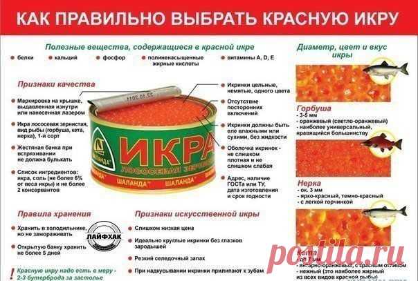 Как правильно выбирать красную икру. | Хитрости Жизни