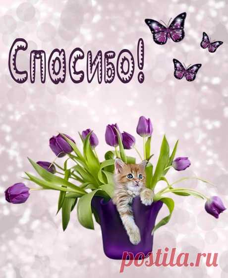 Спасибо вам за добрые слова.