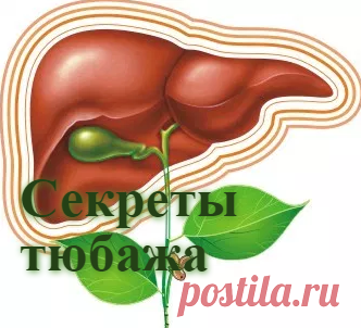Секреты тюбажа-прогревание и очищение печени | Советы целительницы