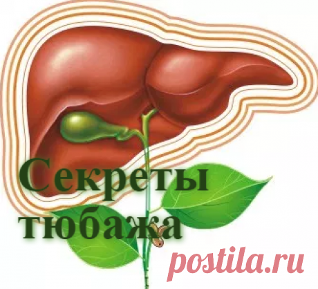 Секреты тюбажа-прогревание и очищение печени | Советы целительницы