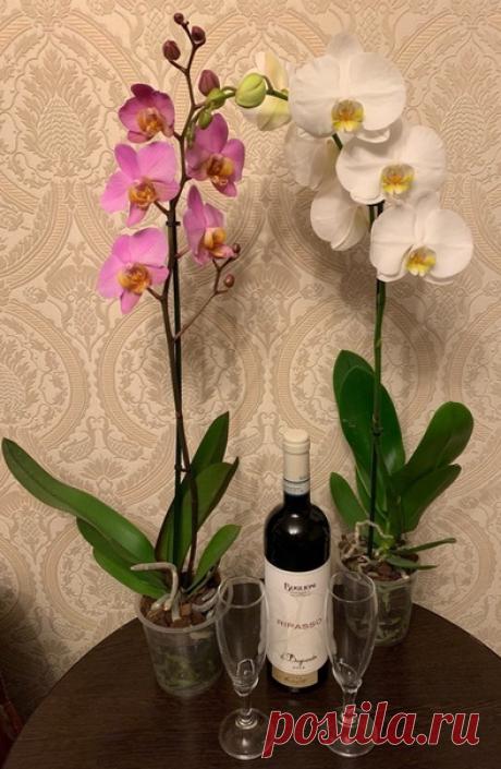 Чудеса случаются каждый день. Измените свое понимание чуда - и вы увидите чудеса всюду вокруг себя... Джон Бон Джови