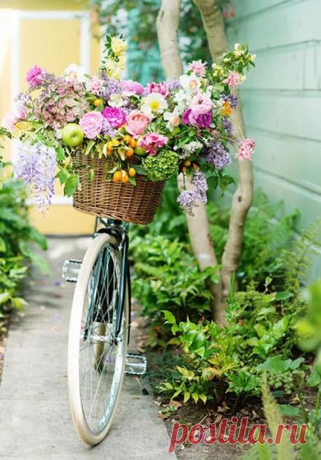 flower house – Google+
