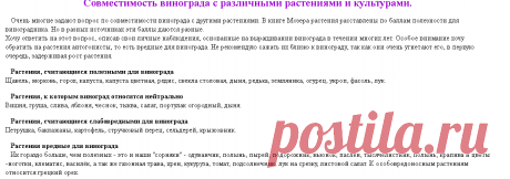 Совместимость винограда с другими культурами - Частный сайт Пузенко Натальи Лариасовны.