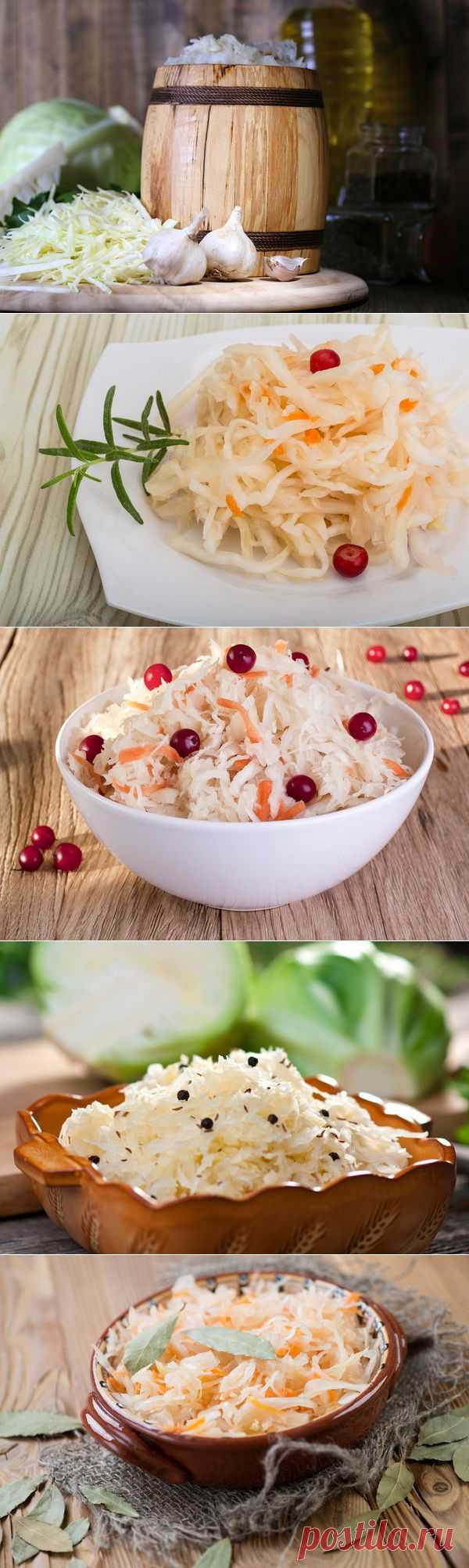 Рецепты квашеной капусты на зиму