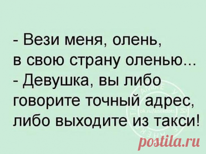 Несколько забавных историй для отличного настроения