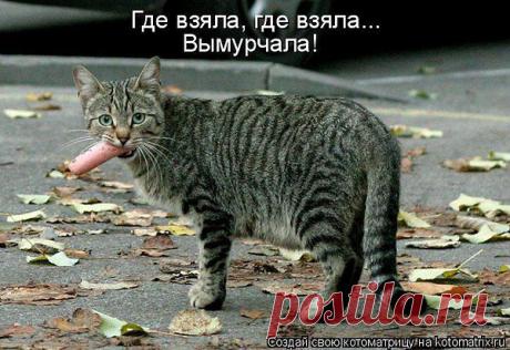 Интересные новости