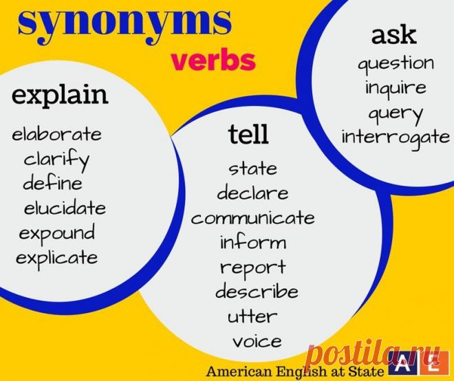 2313119038.jpg (807×677)