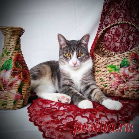 Zверек в Instagram: «Корзина и ваза "Летний сон". Готовая работа. Все предметы моих наборов можно приобрести по отдельности, но кот не продается)) Материалы:…»