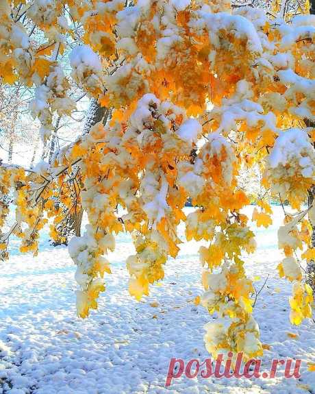 Восхитительно! ...