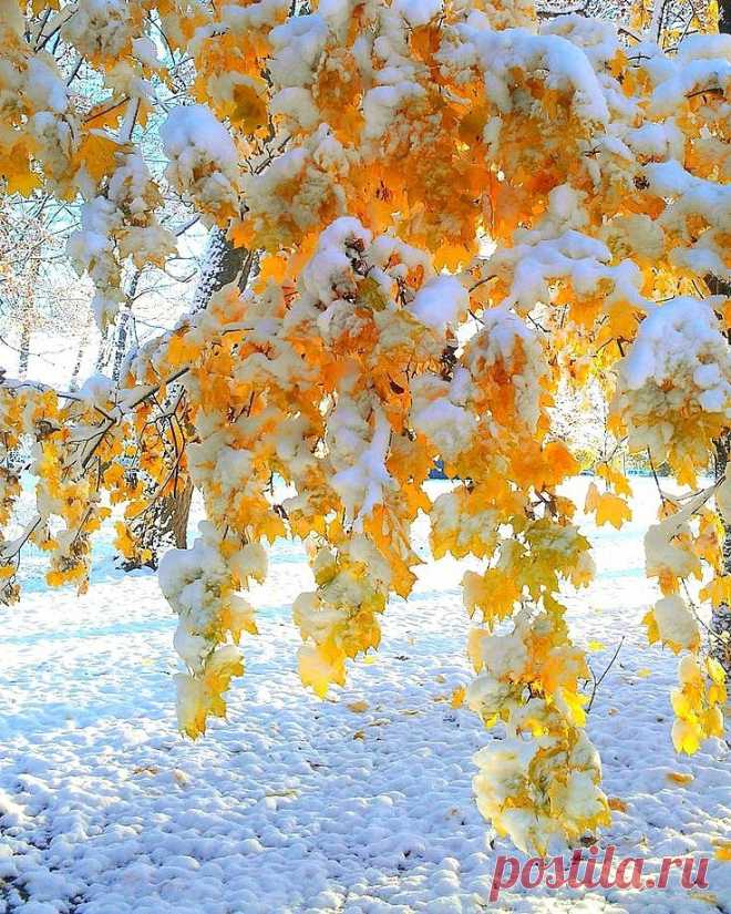 Восхитительно! ...