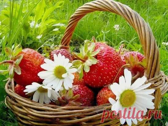 (58) Одноклассники