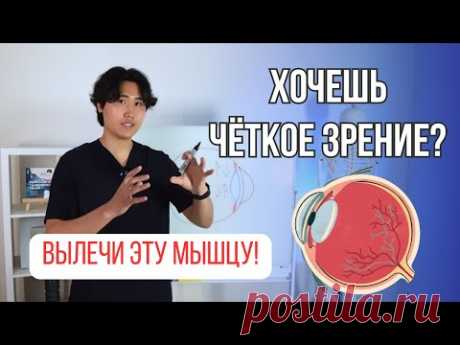 Хочешь четкое зрение? Вылечи эту мышцу