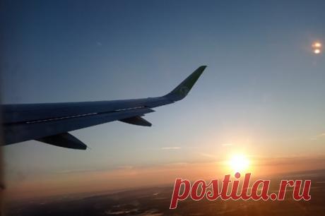 В Новосибирске птица попала в фюзеляж самолета, спровоцировав посадку судна. Самолёт со 156 пассажирами на борту сел благополучно.