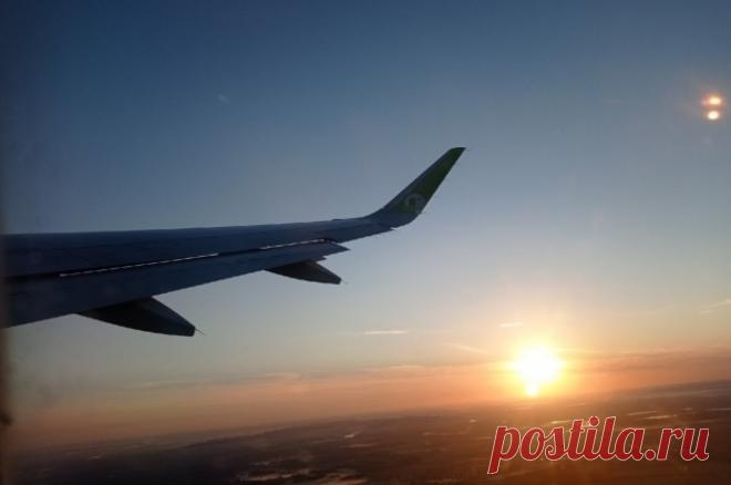 В Новосибирске птица попала в фюзеляж самолета, спровоцировав посадку судна. Самолёт со 156 пассажирами на борту сел благополучно.