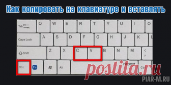Как копировать на клавиатуре и вставлять: без мышки, текст, фото