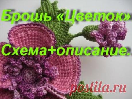 Брошь «Цветок»
Описание вязания:Цветок связан тунисским вязанием. Основа лепесткового круга связана по спирали столбиками без накида: 6-12-18-24-30. Каждый из 5 лепестков связан на шести петлях основы. Между лепестками промежутка нет. Для лепестка набрать 8 вп; провязать ряд из 8 тунисских столбиков (кромочную вытянуть из первой петли основы); укороченный ряд из 4 тунисских столбиков; провязать два ряда из 8 тунисских столбиков (кромочные вытянуть из второй петли основы); укороченный ряд из 4 ту