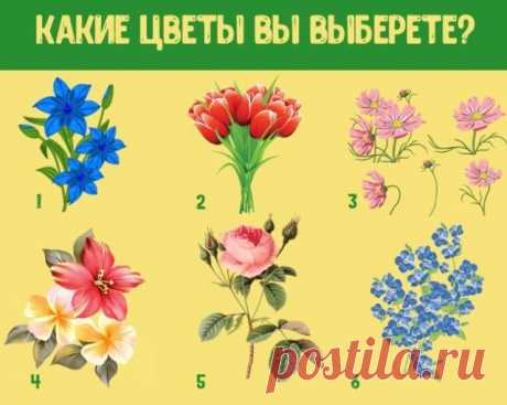 Тест: Какие цветы вы выберите | Секреты.нет
