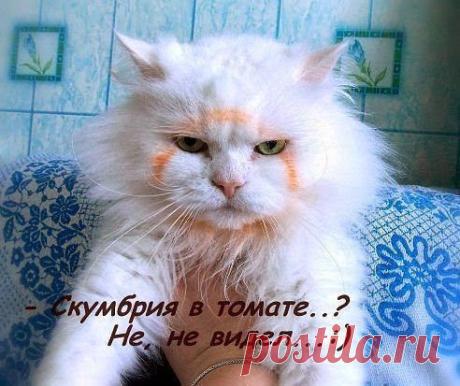Империя позитива