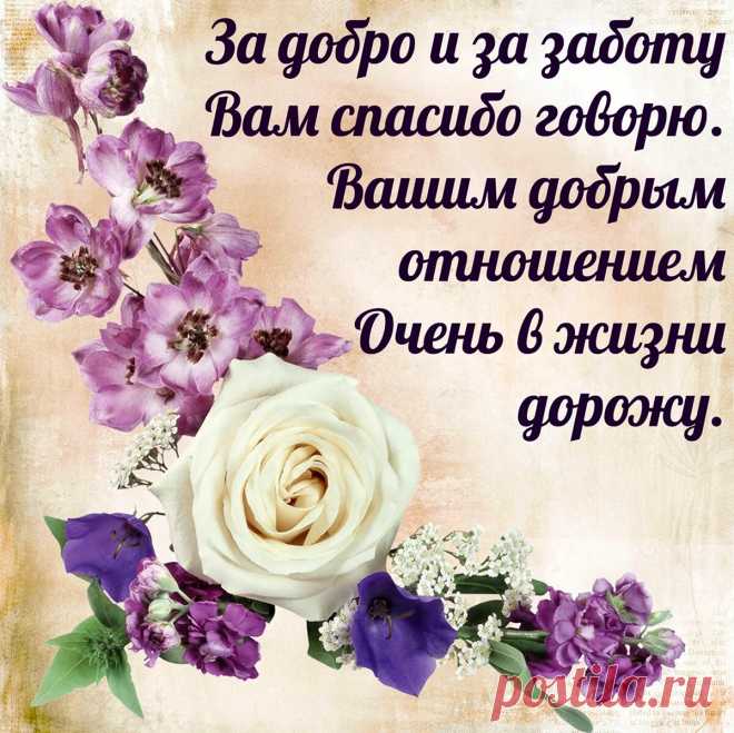 Спасибо вам за добрые слова
Мне ваши пожеланья дороги.