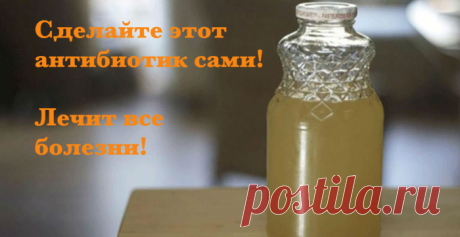 Вот самый мощный природный антибиотик, способный убить любую инфекцию