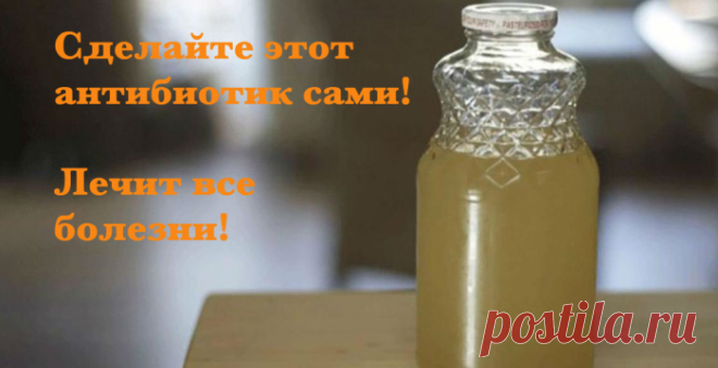 Вот самый мощный природный антибиотик, способный убить любую инфекцию