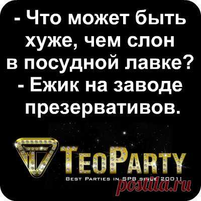 TeoParty People