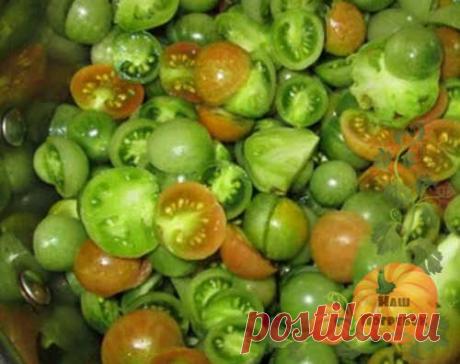 Аджика из зеленых помидор на зиму: объедение с приправами, овощами и фруктами