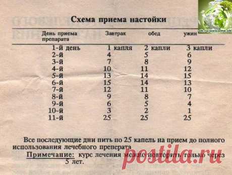 Одноклассники
