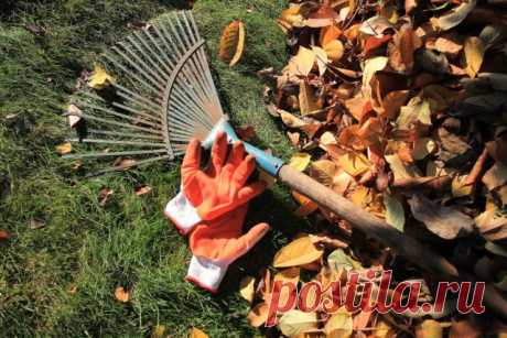 Что нельзя делать садоводам и огородникам в сентябре — Ботаничка