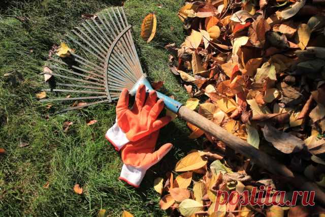 Что нельзя делать садоводам и огородникам в сентябре — Ботаничка