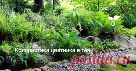 Колористика цветника в тени При грамотном подходе даже в самых затененных, влажных уголках сада можно создать настоящие живописные шедевры.