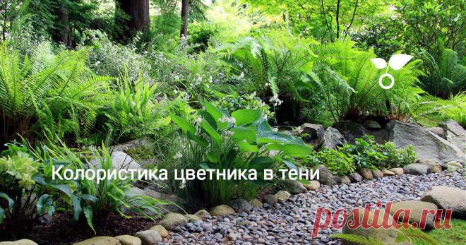 Колористика цветника в тени При грамотном подходе даже в самых затененных, влажных уголках сада можно создать настоящие живописные шедевры.